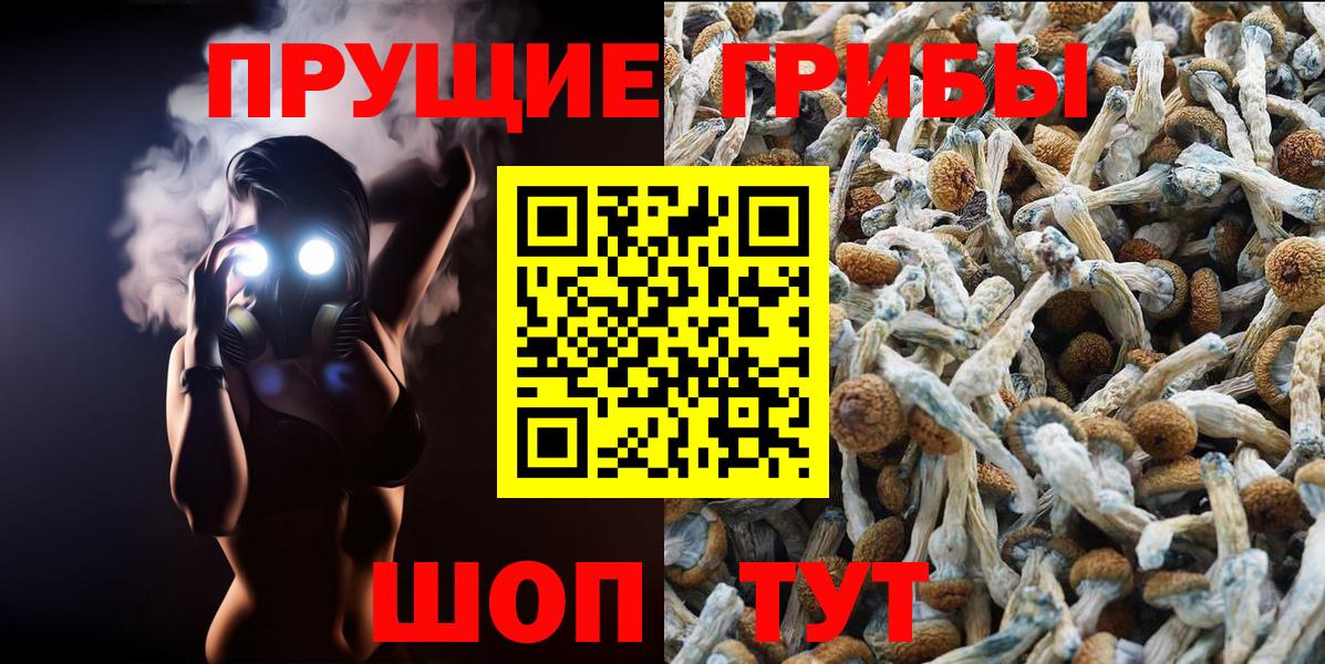 Красноармейск  Галлюциногенные грибы мицелий  Вход с VPN 